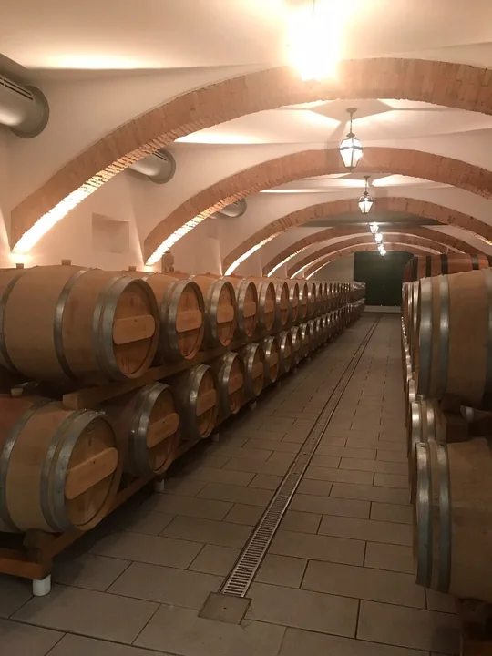 Na cave, entre as garrafas