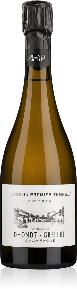 'Dans un Premier Temps' Assemblage Extra-Brut