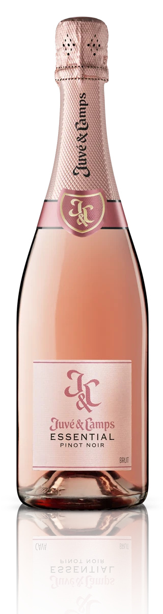 Cava Pinot Noir Brut Rosé