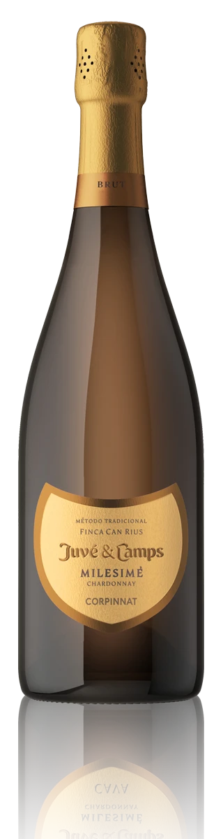 Cava Finca Can Rius Milesimé Chardonnay Gran Reserva Brut